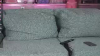 seltin_sweety bj 4/7/2023