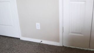 ReyaReign Present Cum in Your Sister Before Her Wedding