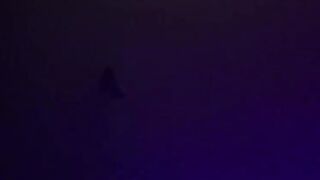 brei_elle - Twitch Girl dancing in club