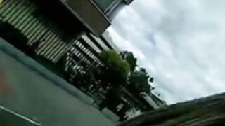 sara_fun bus classic