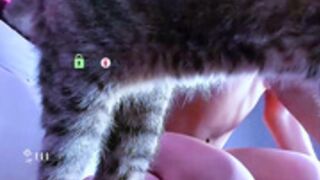 crazzy cherry 'holy fuck bro'