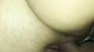 Novinha Gordinha