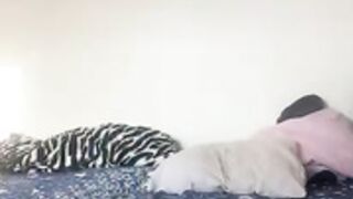 AleQueen barely does anything 2