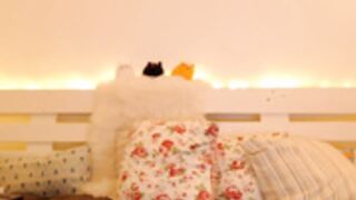 lillya anal toy