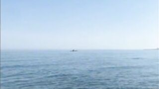 Norwegian Linn Woyen Lenes - misslinzor - 10