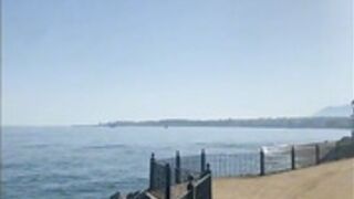 Norwegian Linn Woyen Lenes - misslinzor - 10