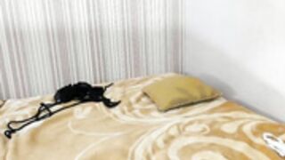 stella and stephan n25