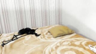 stella and stephan n25