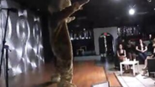 Big dick male strippers make them wet their pants
