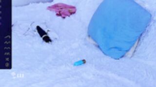 gingercuttie socks Makes me buy new cute-o-meter weekly