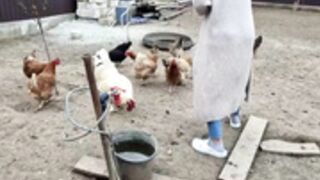 Christina feeds the chickens bare-breasted