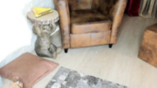 Adysweet - 201809010110