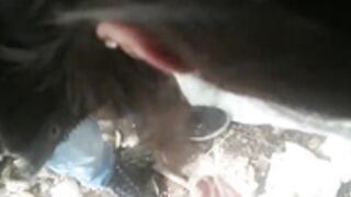 Roma Csajszi dugás,Gipsy girl,Ciganka