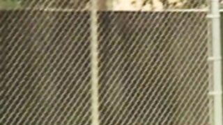 bukkake public skate