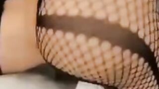 Ashtens Empire Fishnets