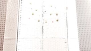 Verasun 20230428（2）