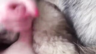 fur coat 88