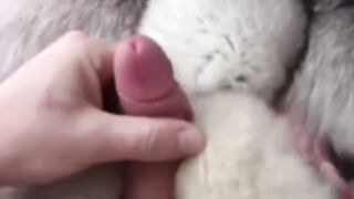 fur coat 88