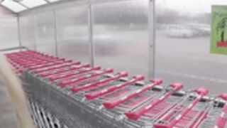 fur hood down jacket 106