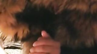 fur hood down jacket 84