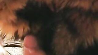 fur hood down jacket 84