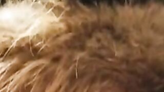 fur hood down jacket 84