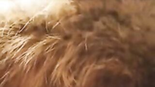 fur hood down jacket 84