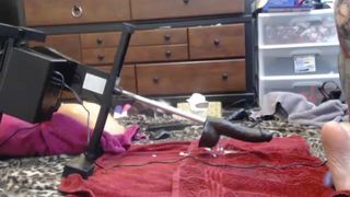 AnimerGamerGirl 2017-03-14