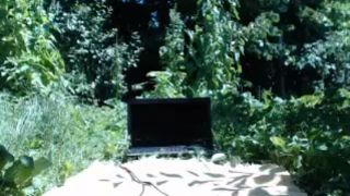 eroticsensualkitty4u - topless sunbathing