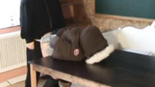 fur hood down jacket 139