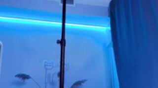 ray_faster raypeach ray_coy 2