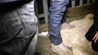 fur collar leather jacket 30