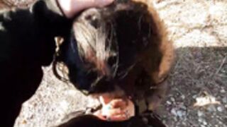 fur hood down jacket 231