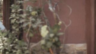 Natasha Nice - Wealthy Widow