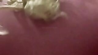 nellycantsay dress twerk