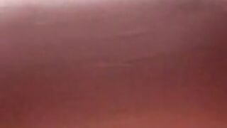 nellycantsay dress twerk