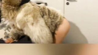 fur hood down jacket 229