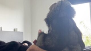 fur hood down jacket 220