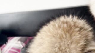 fur hood down jacket 205