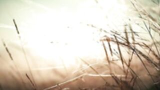 Athena and Aphrodite 2023