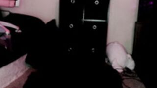 lilypixel 2023-03-28