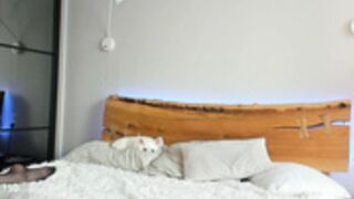 hotschneewittchen 66