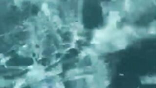 Evelyn Claire Bikini Tease Snap