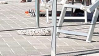 Milf in piscina