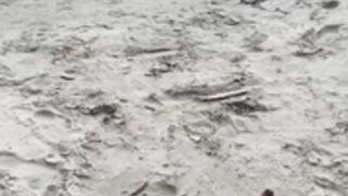 Carla FBB masturbating in the beach