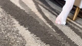 Vegas Vixen - Oiled Up Gets Two Facials From Zac Wil