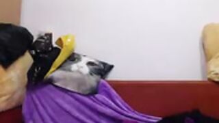 Nicollecherry19 and ?