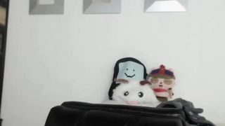 2017-04-18 Amapola