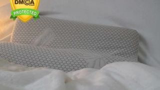 Jessicaalba1 free cam recording 2017-04-18 174209