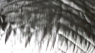 Sladkoesolnishko riding cock